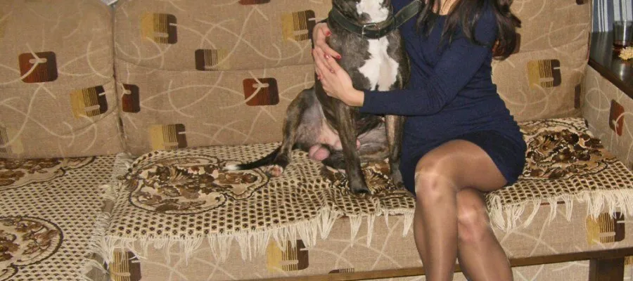 Веселая шатенка  в колготках  на диване